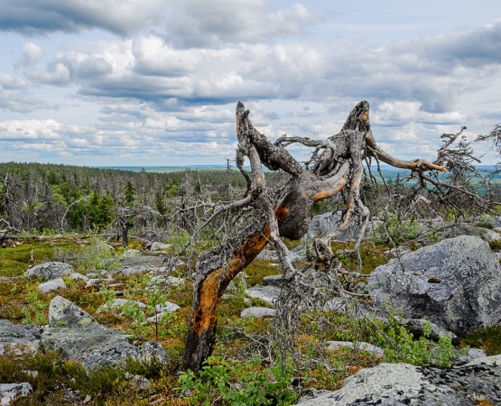 Гора Воттоваара на wikipoints.ru