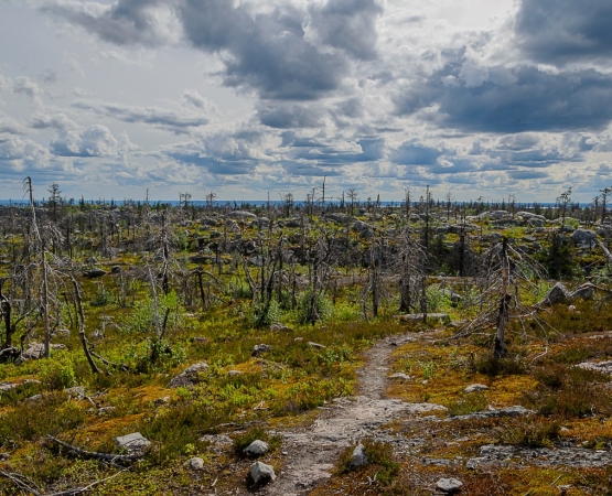 Гора Воттоваара на wikipoints.ru