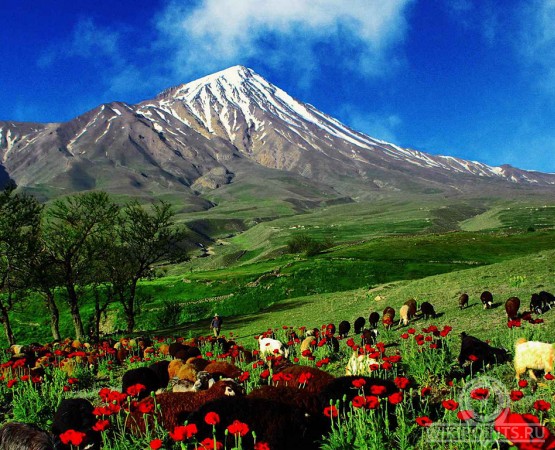 Арарат на wikipoints.ru