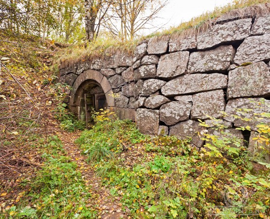 Руины крепости Тронгзунд на wikipoints.ru