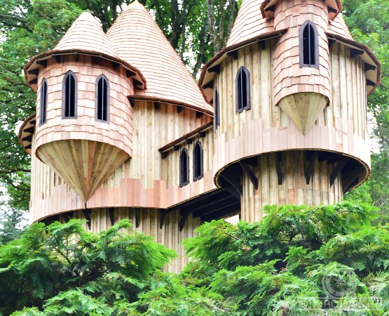 Дом на деревьях  на wikipoints.ru