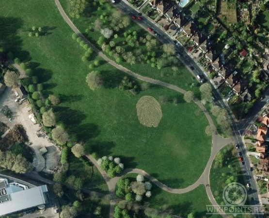 Лабиринт в форме отпечатка пальца на wikipoints.ru