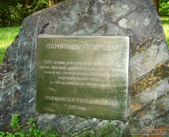 Панский дуб  на wikipoints.ru