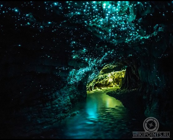 Пещера светлячков на wikipoints.ru