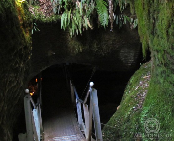 Пещера светлячков на wikipoints.ru