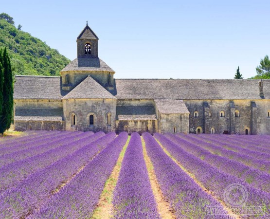 Аббатство Сенанк на wikipoints.ru