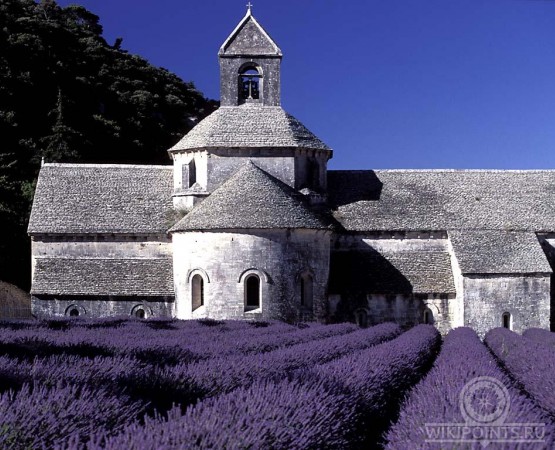 Аббатство Сенанк на wikipoints.ru