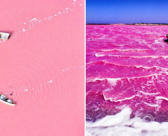 Розовое озеро Ретба на wikipoints.ru