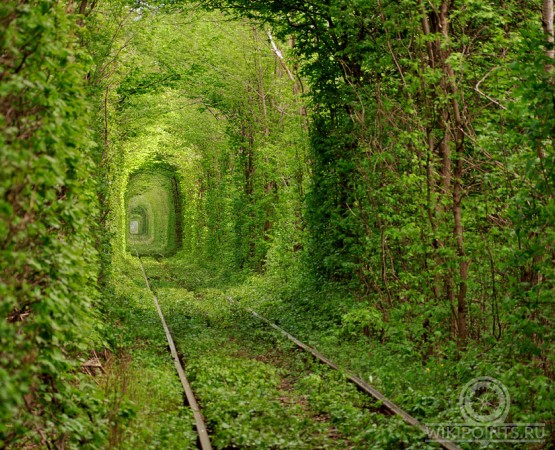 Тоннель любви на wikipoints.ru