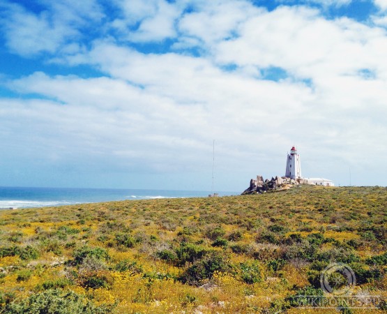 Маяк Коломбина на wikipoints.ru