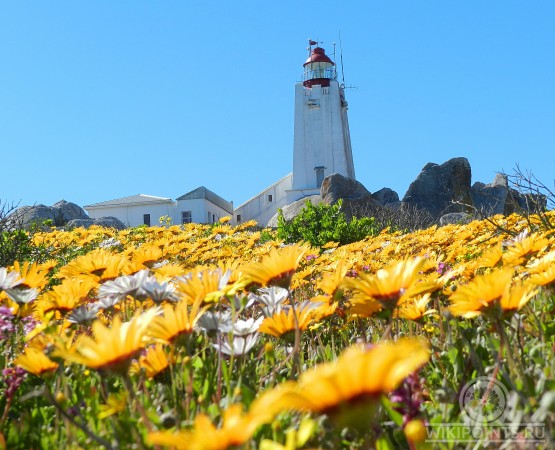 Маяк Коломбина на wikipoints.ru