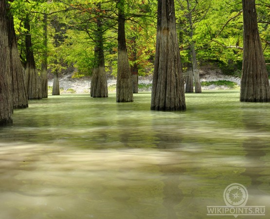Озеро Сукко на wikipoints.ru