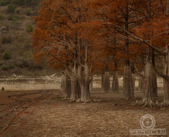 Озеро Сукко на wikipoints.ru