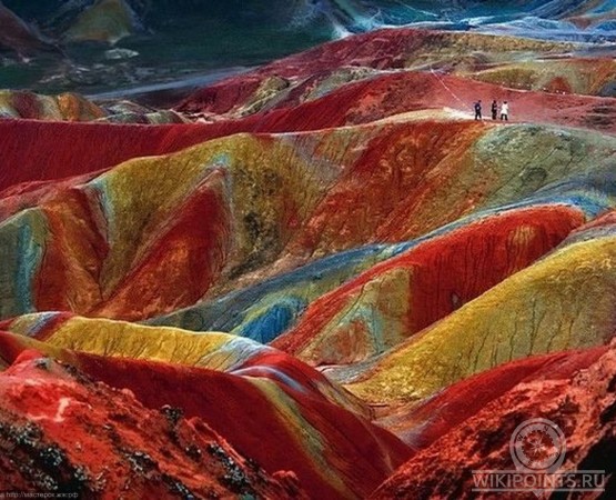 Ланшафт Дэнксия на wikipoints.ru