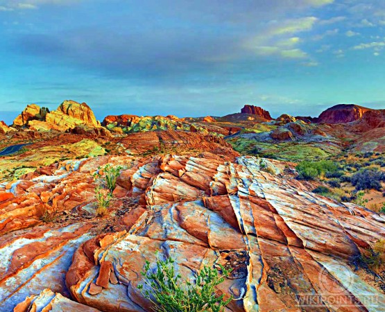 Ланшафт Дэнксия на wikipoints.ru