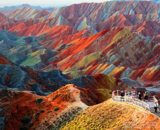 Ланшафт Дэнксия на wikipoints.ru