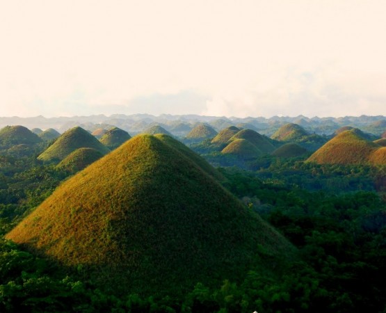 Шоколадные холмы на wikipoints.ru