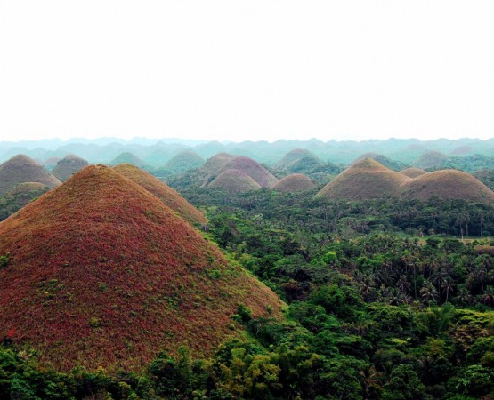 Шоколадные холмы на wikipoints.ru