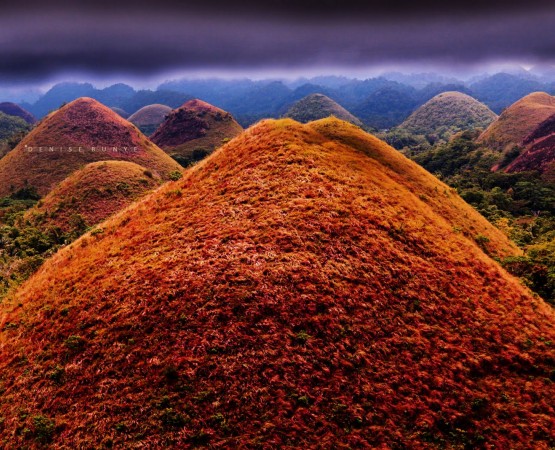 Шоколадные холмы на wikipoints.ru