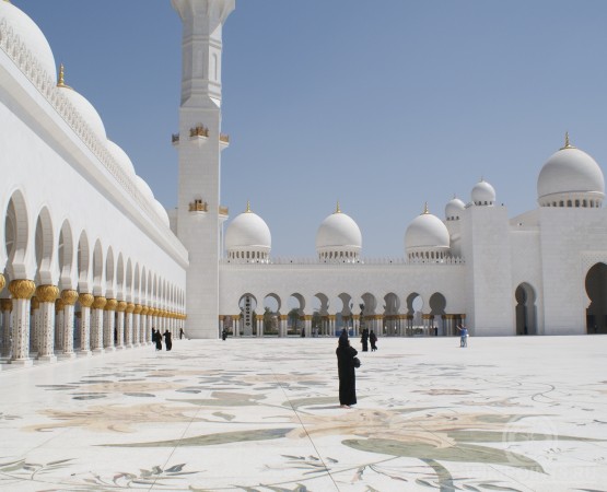 Мечеть шейха Зайда на wikipoints.ru