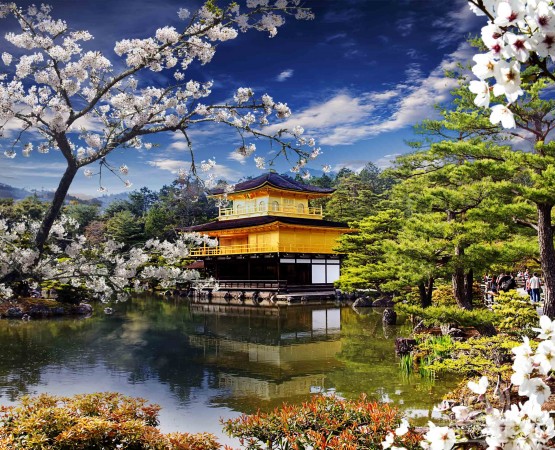 Золотой павильон на wikipoints.ru