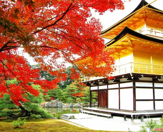 Золотой павильон на wikipoints.ru