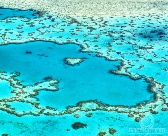 Харт Риф на wikipoints.ru