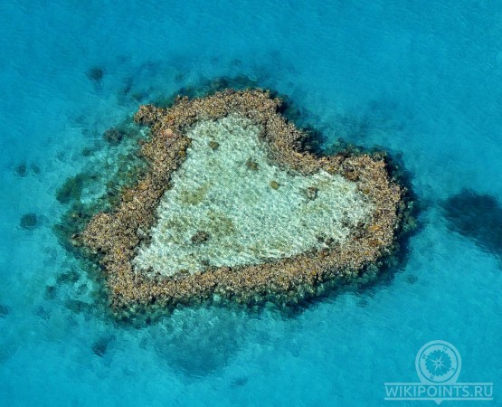 Харт Риф на wikipoints.ru