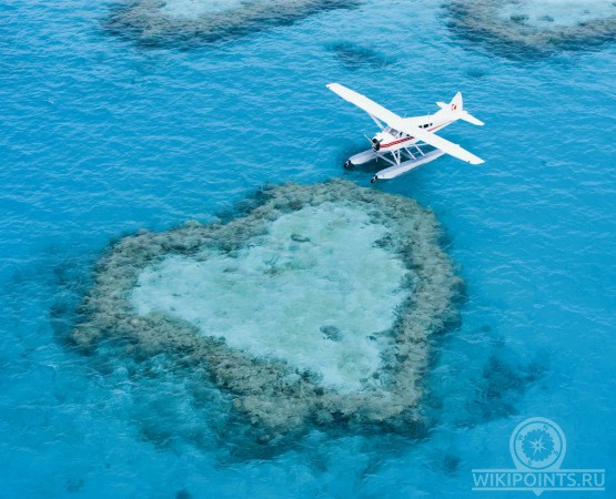 Харт Риф на wikipoints.ru
