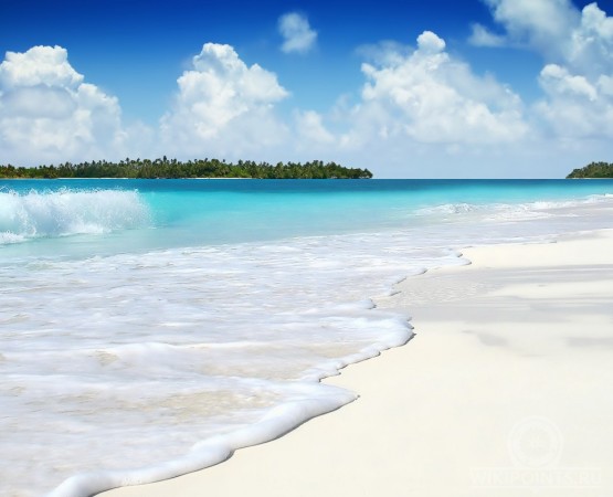 Пляж Уайтхэвен на wikipoints.ru