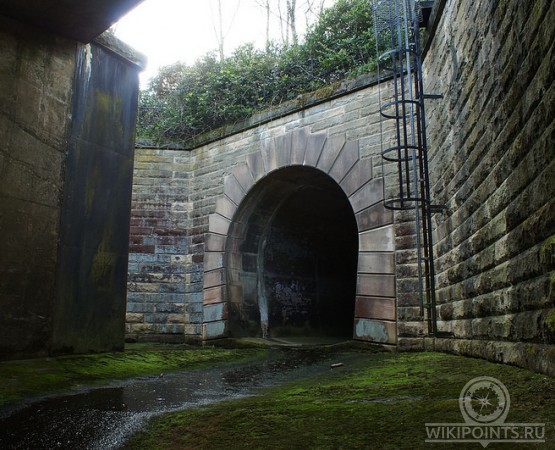 Водохранилище Ледибауэр на wikipoints.ru