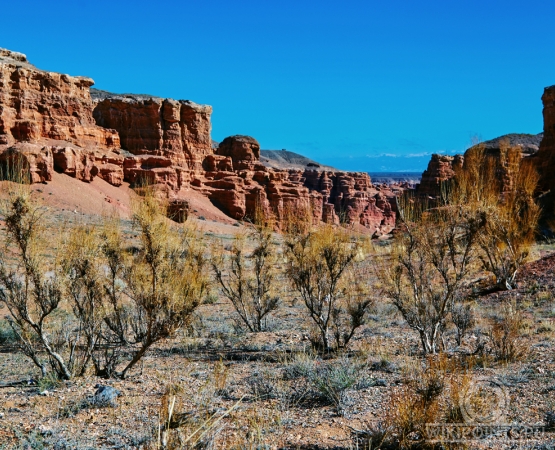 Чарынский каньон на wikipoints.ru