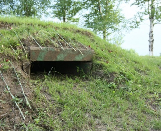 Памятник Петру Барбашову на wikipoints.ru