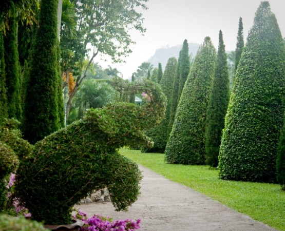 Тропический парк Нонг Нуч на wikipoints.ru