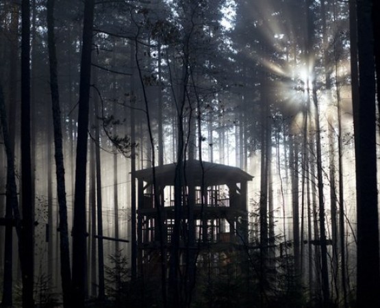 Норвежский парк Орех на wikipoints.ru