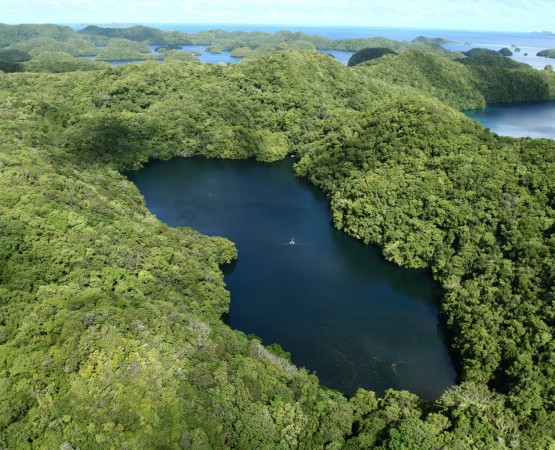 Озеро Медуз на wikipoints.ru