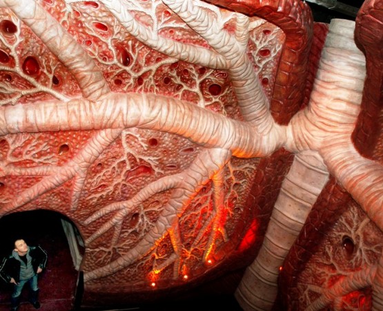 Музей человеческого тела Corpus на wikipoints.ru