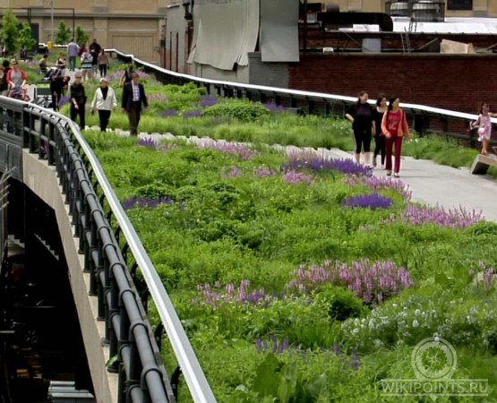 Хай Лайн парк на wikipoints.ru