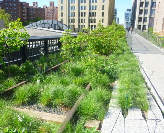 Хай Лайн парк на wikipoints.ru