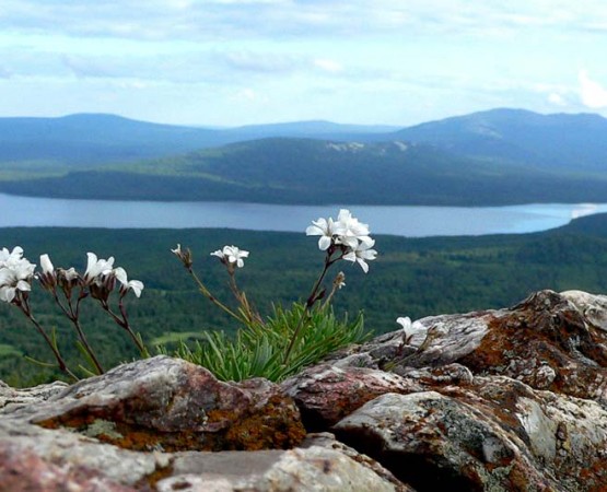 Национальный парк Зюраткуль на wikipoints.ru