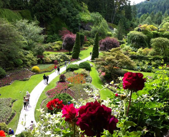 Сады Бутчартов на wikipoints.ru