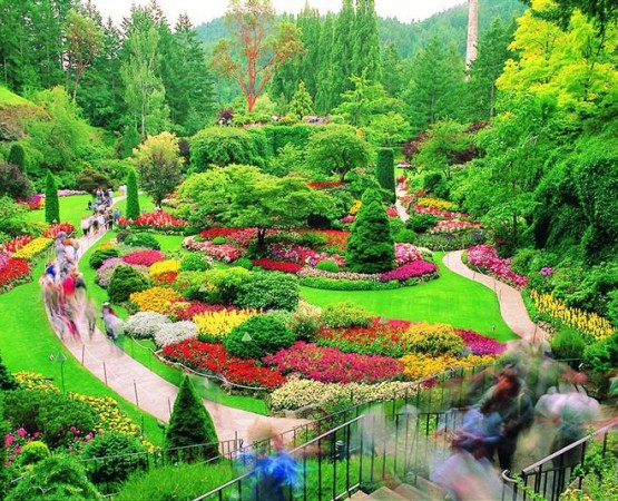 Сады Бутчартов на wikipoints.ru