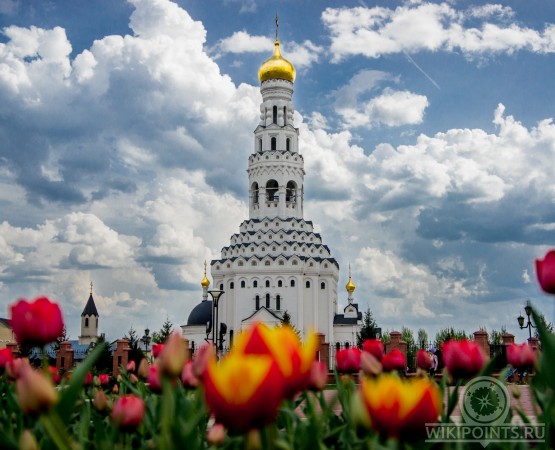 Храм Святых Апостолов Петра и Павла на wikipoints.ru