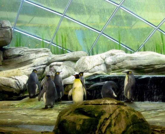 Берлинский зоопарк на wikipoints.ru