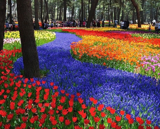 Парк Хитачи Сисайд на wikipoints.ru