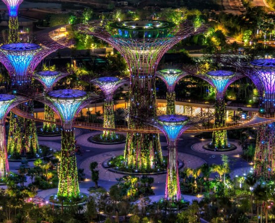 Сады у залива на wikipoints.ru