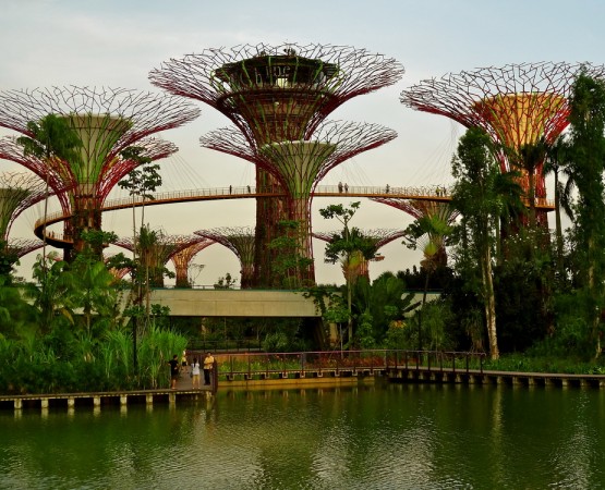 Сады у залива на wikipoints.ru