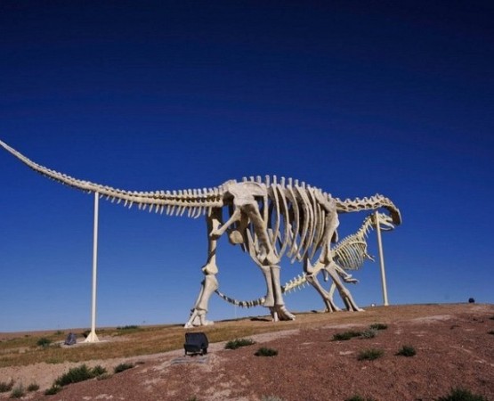 Целующиеся динозавры Эрэн-Хото на wikipoints.ru