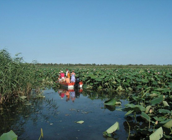 Долина лотосов на wikipoints.ru