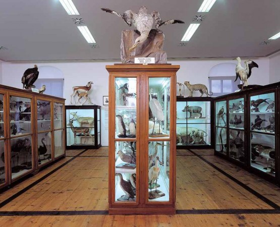 Монастырь Адмонт на wikipoints.ru